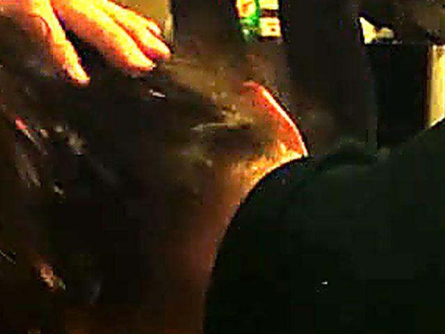 Slutty girlfriend is addicted to sucking cock