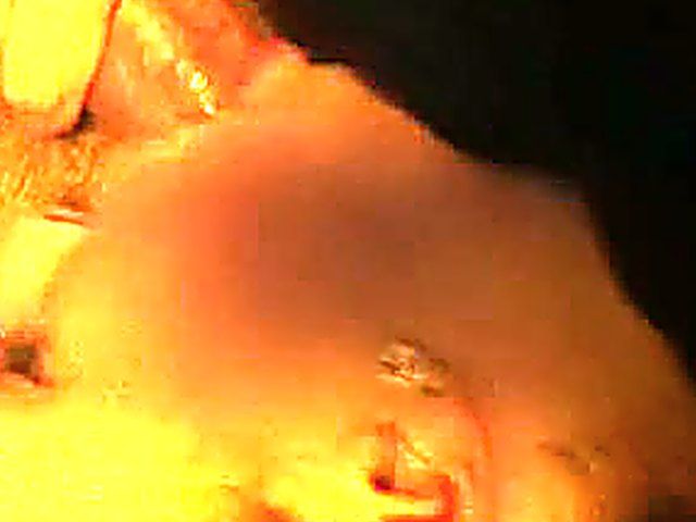 Slutty girlfriend is addicted to sucking cock