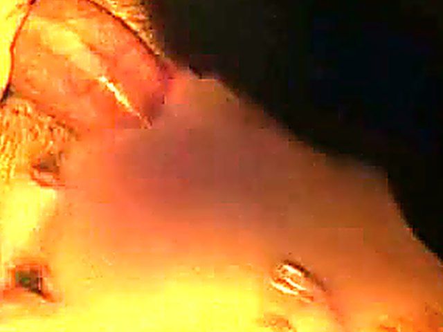 Slutty girlfriend is addicted to sucking cock