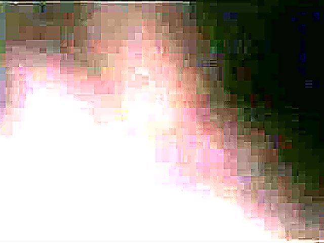 Flexible white girl fucks a black man