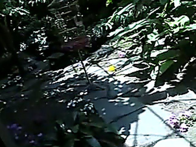 Gorgeous brunette gets fingered and fucked