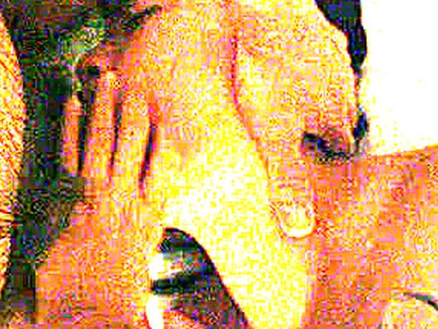 Asian babe sucks on a big large dick