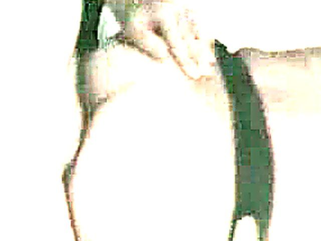 Horny babe gets fucked in her virgin ass