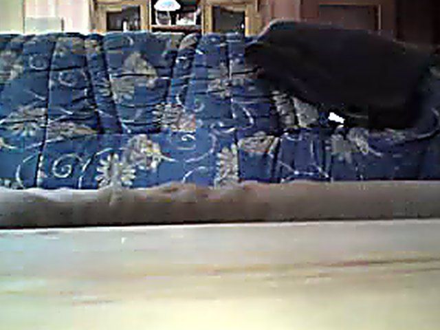 Young babe gets her virgin ass fucked hard