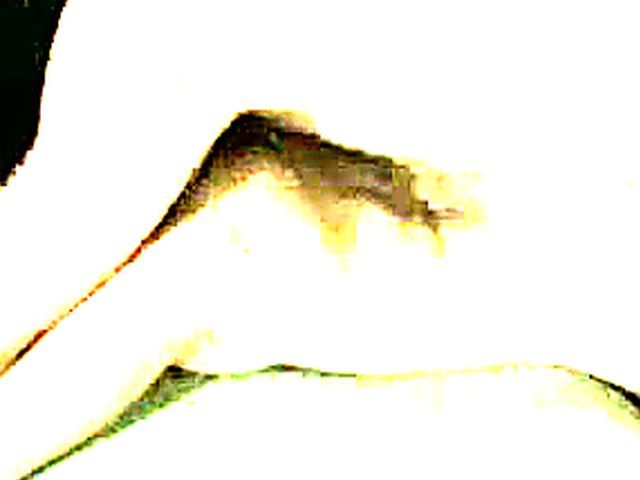 Wild couple fucks each others brains out