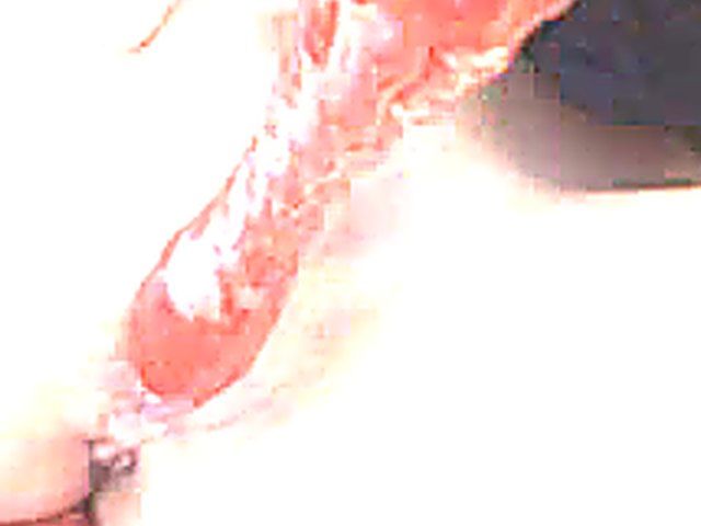 Amateur in sexy devil costume toy fuck her twat