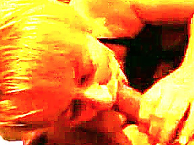 Mature woman gives head in private blowjob video