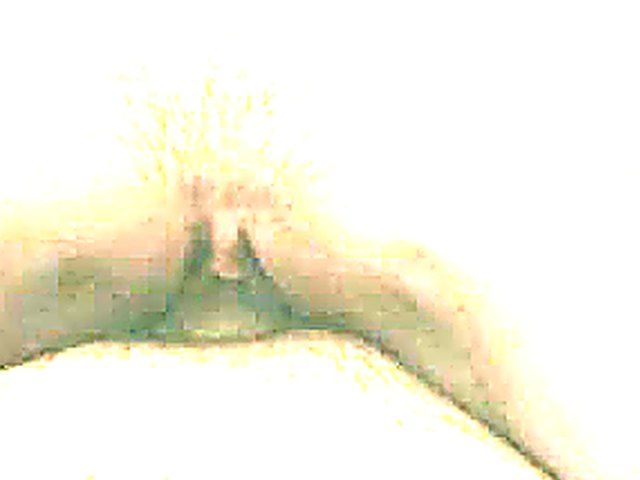 Well stacked wife gives handjob before cock riding