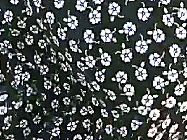 Beautiful blonde gets fucked outside in public