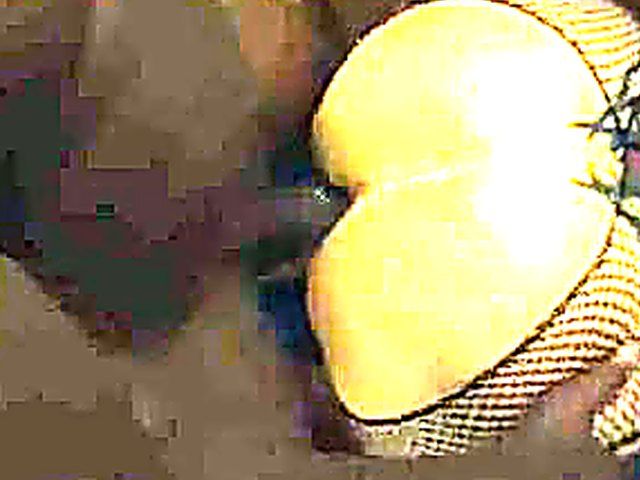 Amazing slut gets all her holes fucked