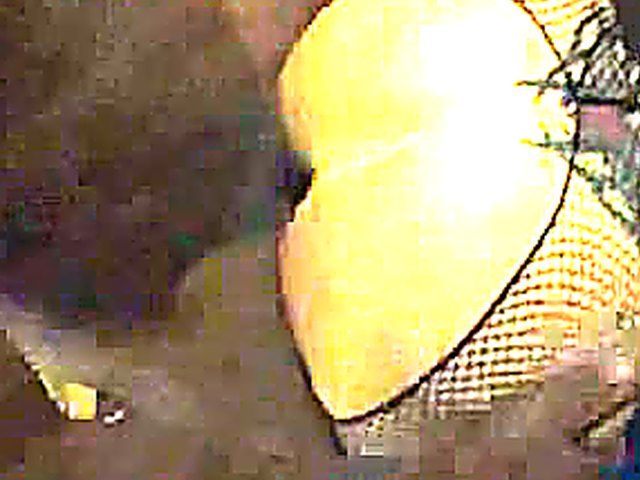 Amazing slut gets all her holes fucked