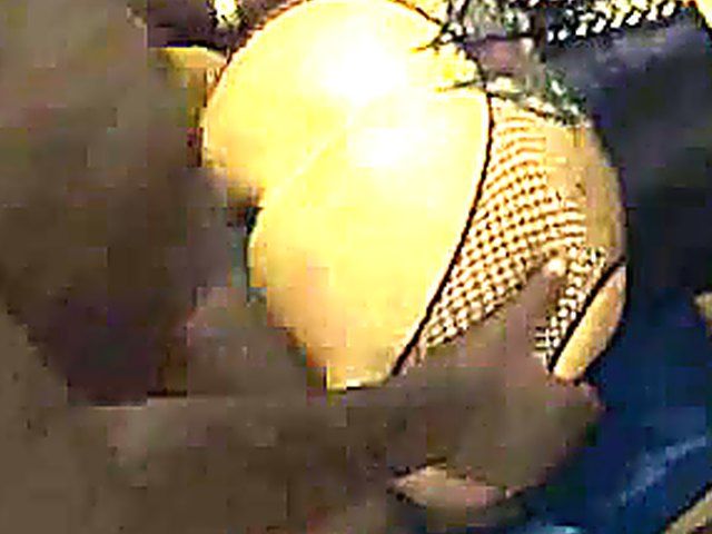 Amazing slut gets all her holes fucked