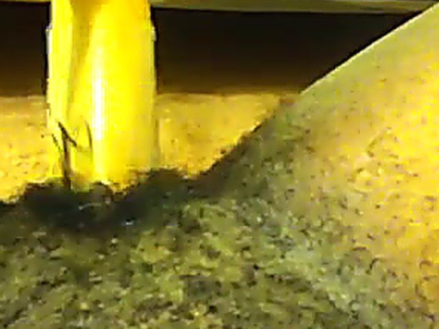 Ebony babe plays with her yellow toy