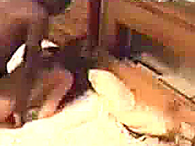 White chick gets fucked by a black dick
