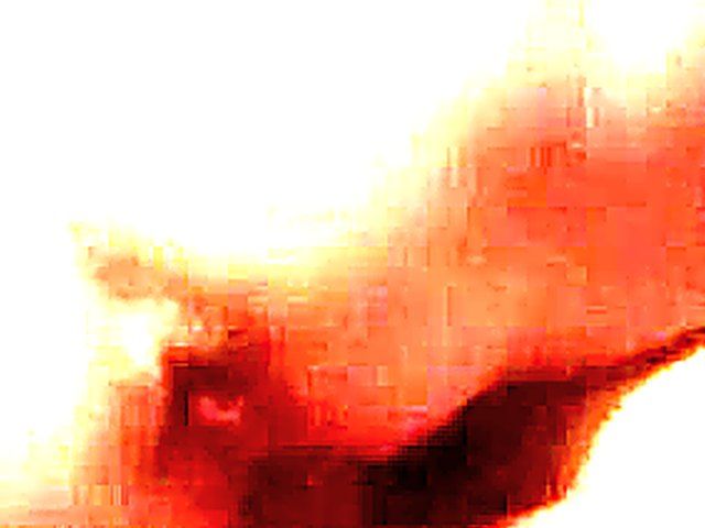 Big assed girlfriend gets her pussy fucked hard