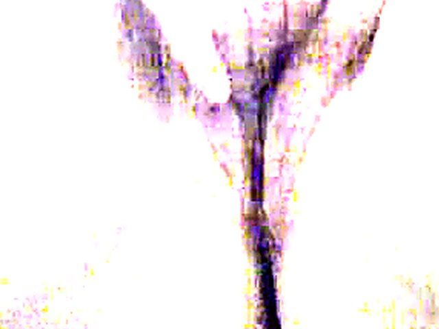 Fat lady rubs her tight wet pussy lips