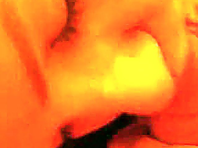 German babe loves sucking and fucking her boyfriend