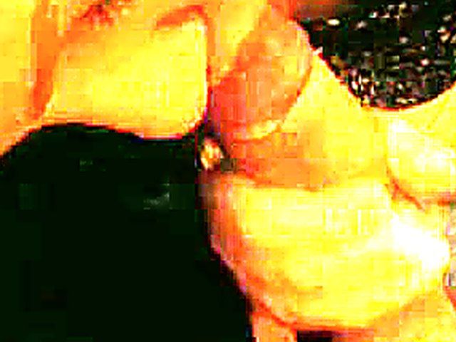 German babe loves sucking and fucking her boyfriend