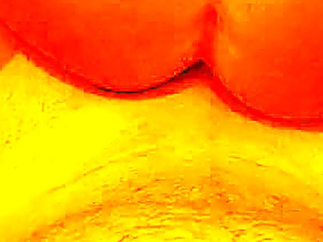 German babe loves sucking and fucking her boyfriend