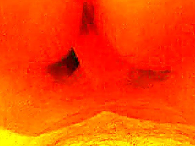 German babe loves sucking and fucking her boyfriend