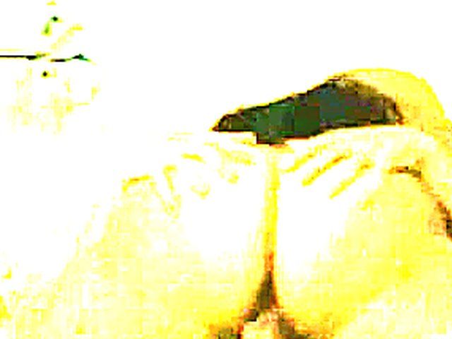 French chick with tanlines rides a hard cock