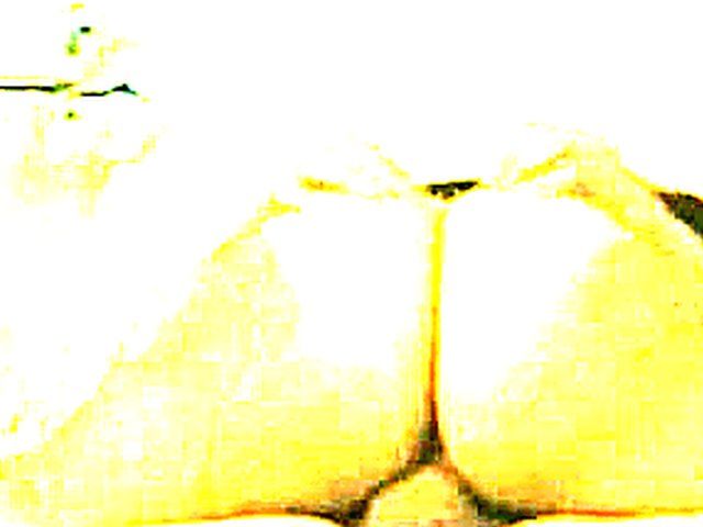 French chick with tanlines rides a hard cock