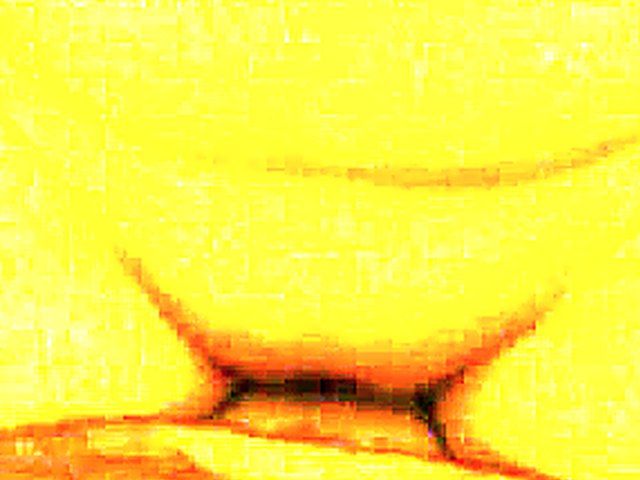 Horny swingers have fun licking, sucking and fucking