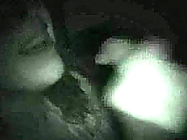 Masked babe sucks cock in a glory hole