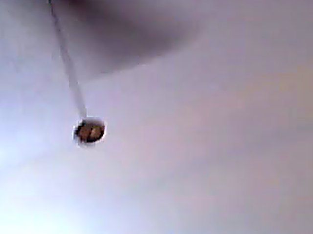 Busty hostess gets her trimmed pussy fucked