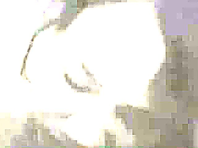 Asian babe rides her black lovers big cock