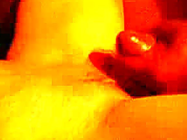 White wife gets fucked by a black dick