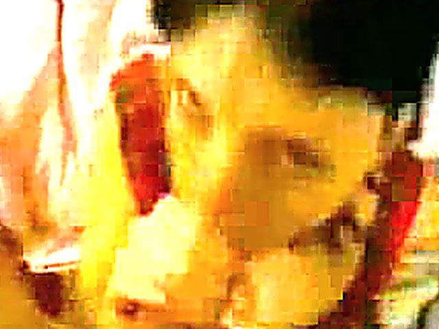 Tattooed chick gets fucked, and sucks cock. 
