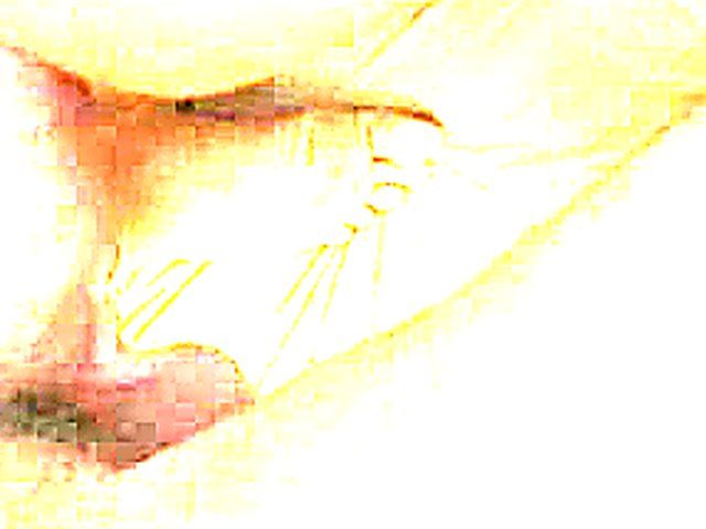 Girl in panties takes dildo and hard cock