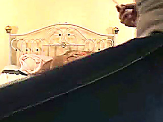 Horny juicy ass wife riding cock to orgasm