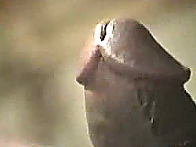 Blonde enjoys huge black dick in interracial retro porn