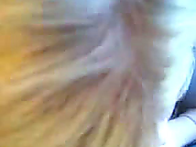 British blonde babe sucks cock