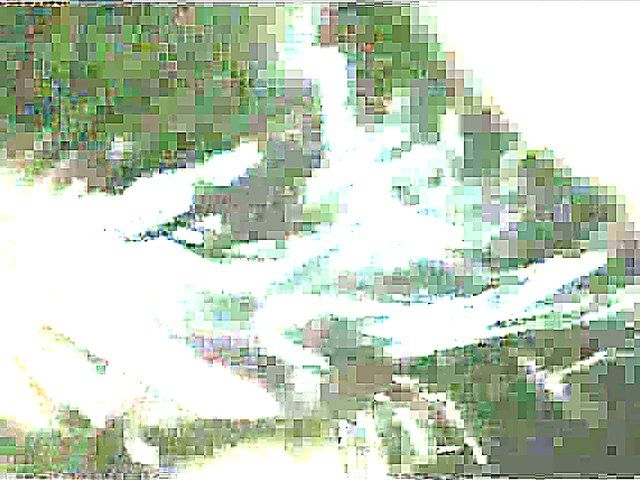 Dick hungry drunk girlfriend swallows jizz