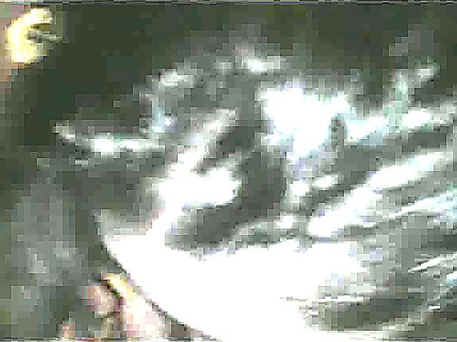 Dick hungry drunk girlfriend swallows jizz