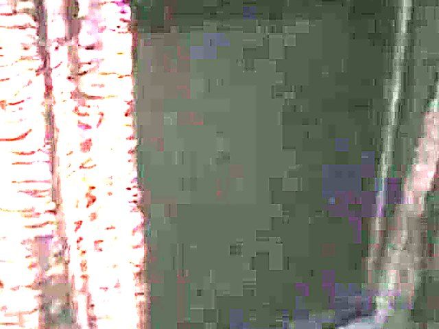 Two bisexual girls suck sturdy cock after lesbian fun