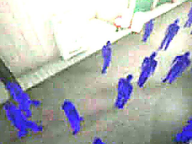 Beautiful cartoon sucks cock, and gets fucked hard