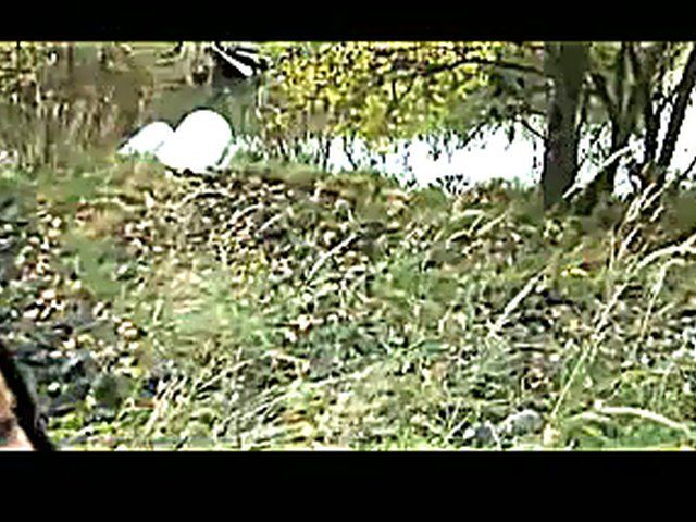 Pretty slut has fun outside in the woods