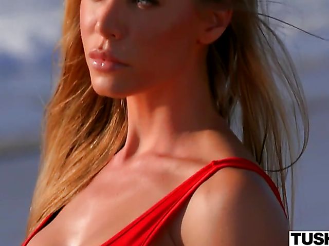 Mick Blue and Nicole Aniston anal delight