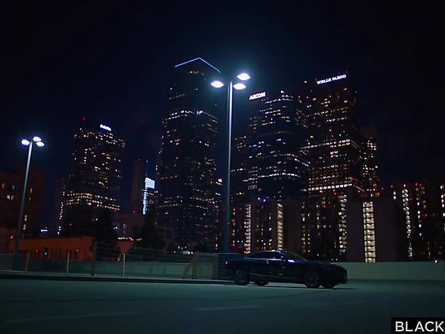 Adriana Chechik interracial sextape