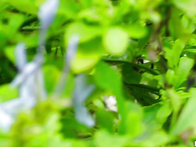 Pool sex with flirty mermaid Jessica Jones