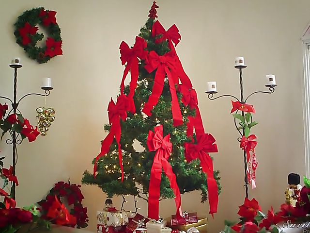 Hot Lena Paul with big natural boobs gets banged on Christmas