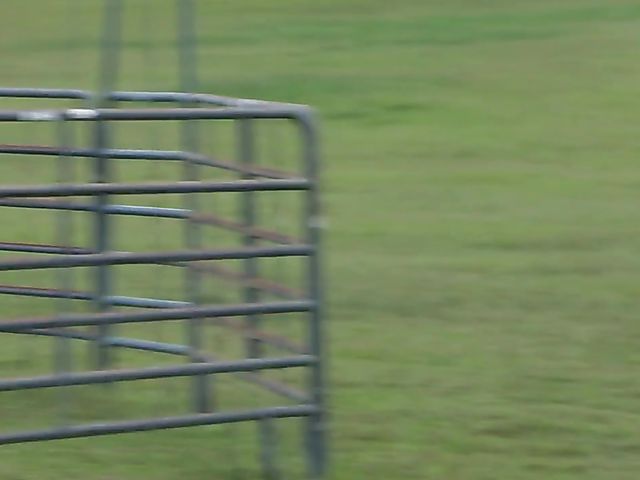 Nude yoga and pussy dildoing outdoors with Courtney