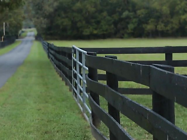 Nude yoga and pussy dildoing outdoors with Courtney