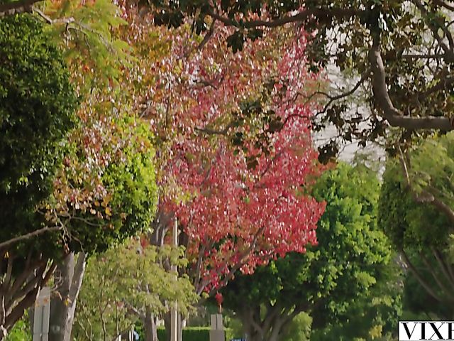 Bree Daniels and Cadey Mercury - Brunette and redhead threesome