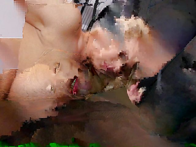 Lesbian tattoo lovers Ryan Conner and Lauren Phillips