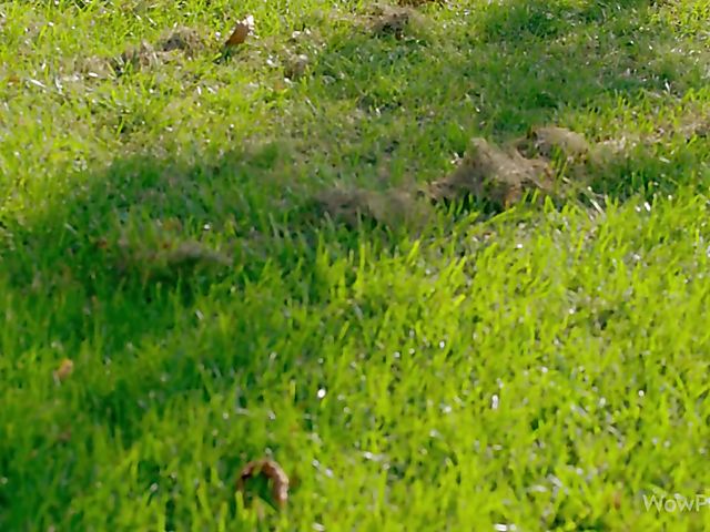 Three lesbians get nude in the outdoors